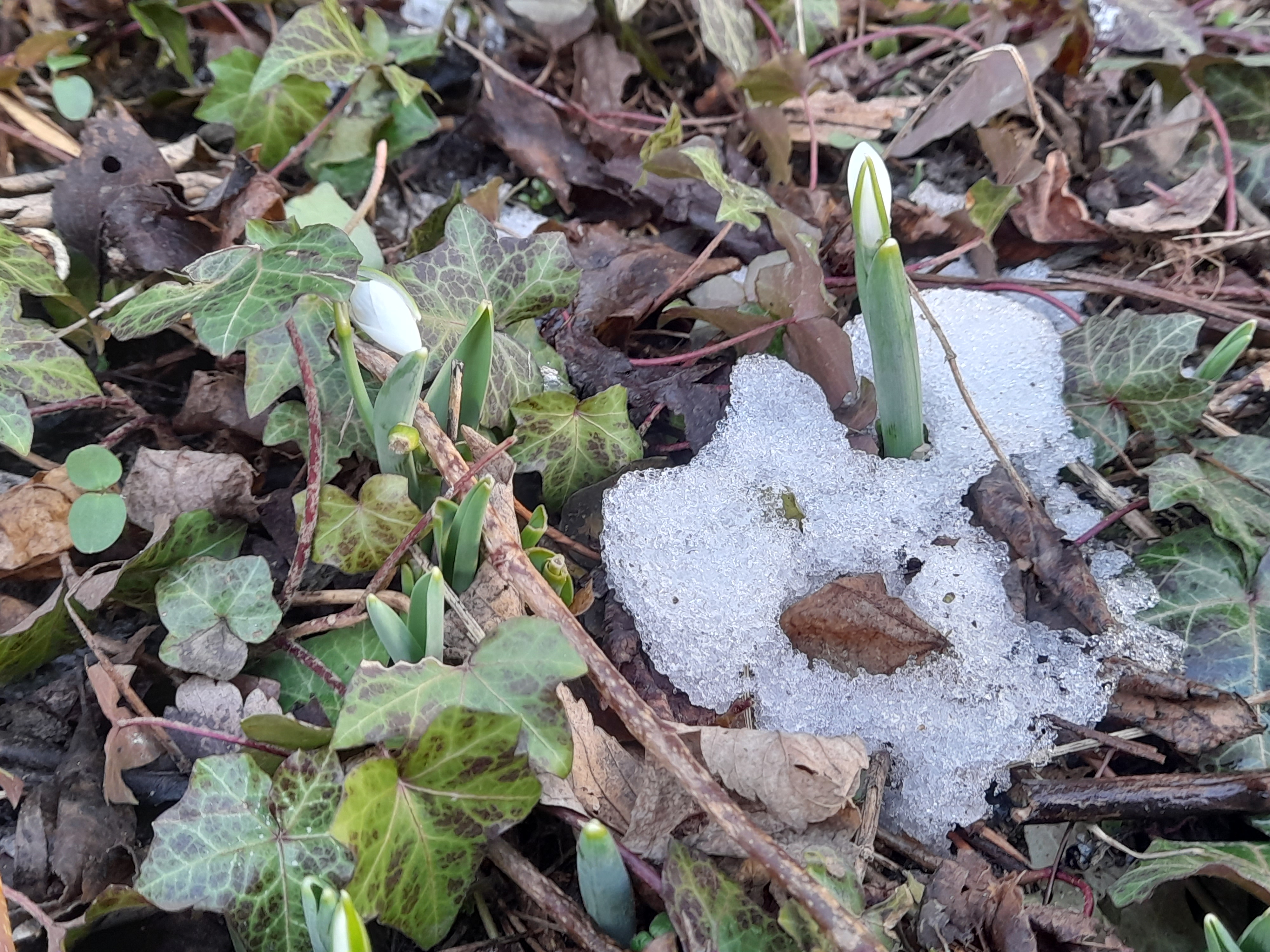 Atmosphärisches Willkommensbild